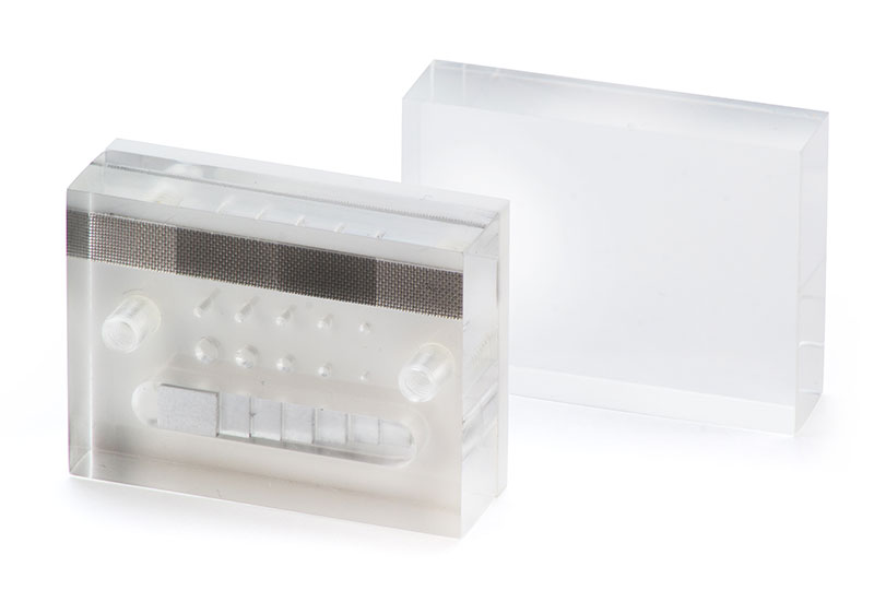 DENTEST Dental Phantom